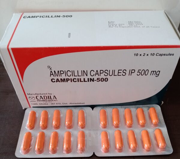 Campicillin-500