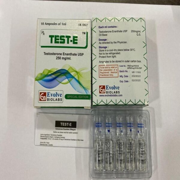 Test-E